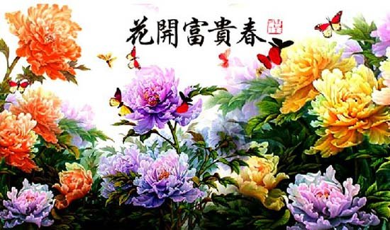 花开锦绣之富贵满堂书包网_家居风水之花开富贵_龙凤呈祥富贵花开香烟价格