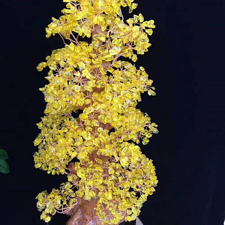 树与家居风水_家居植物风水_家居摆放风水