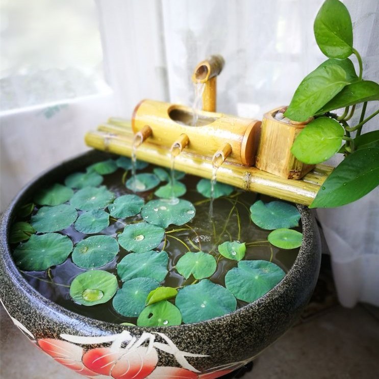 家居女主人风水宜忌_家居风水流水鱼缸_药膳人生by流水鱼