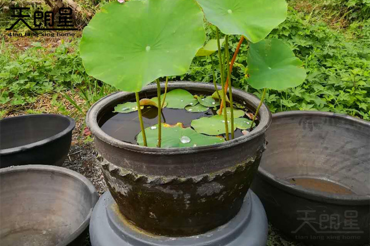 家居摆放风水_漫说家居好风水,灶炉摆放风水宜忌?不可不知!_家居风水水缸存污水