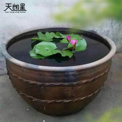 家居风水水缸存污水_家居摆放风水_家居植物风水