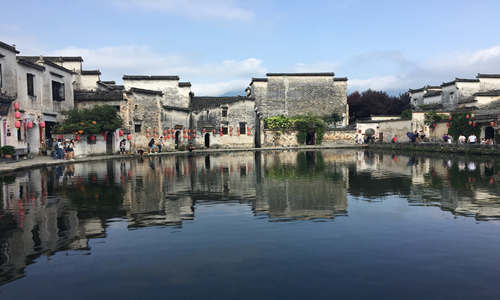 家居 植物 风水_家居植物风水_河水与家居风水