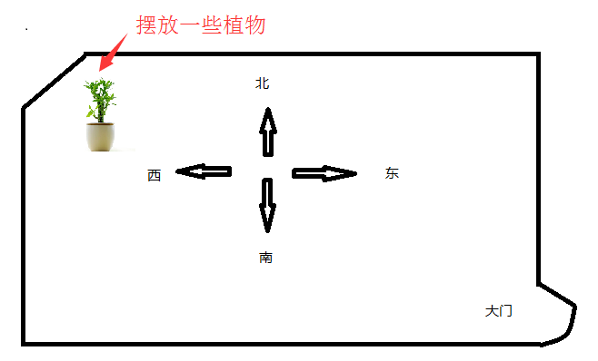 西北缺角可以摆放植物