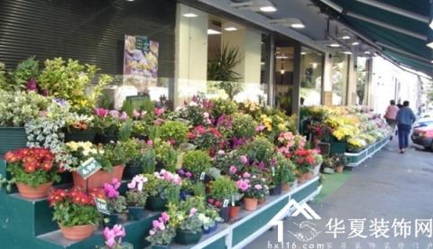 花店九游体育效果图