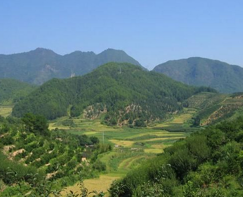 家居风水宝地的特点_漫说家居好风水,灶炉摆放风水宜忌?不可不知!_家居植物风水