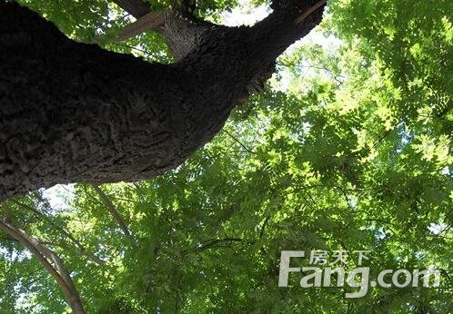 家居 风水 方位_家居风水门前大树_家居客厅风水禁忌