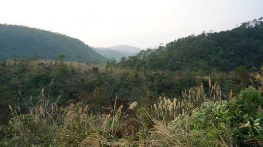 家居风水酉山卯向兼辛_卯山酉向玄空_卯戌合遇卯酉冲