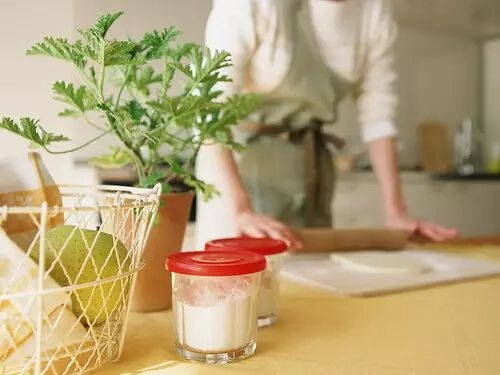 家居8大空间与植物摆放位置