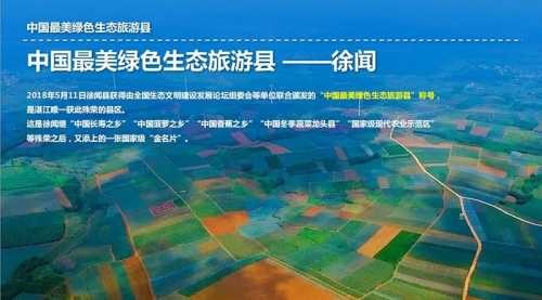 广东省湛江市徐闻县海安区鼎龙新房产。