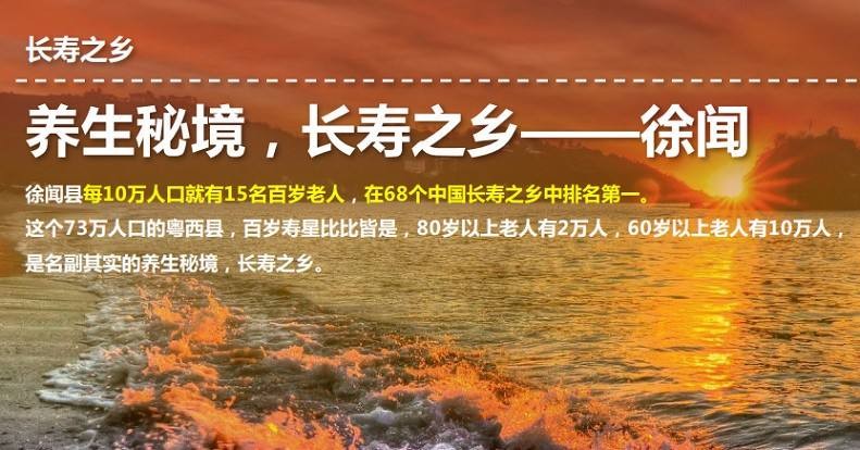 广东省湛江市徐闻县海安区鼎龙新房产。