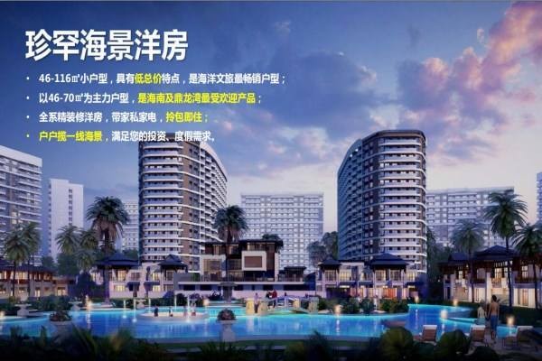 广东省湛江市徐闻县海安区鼎龙新房产。