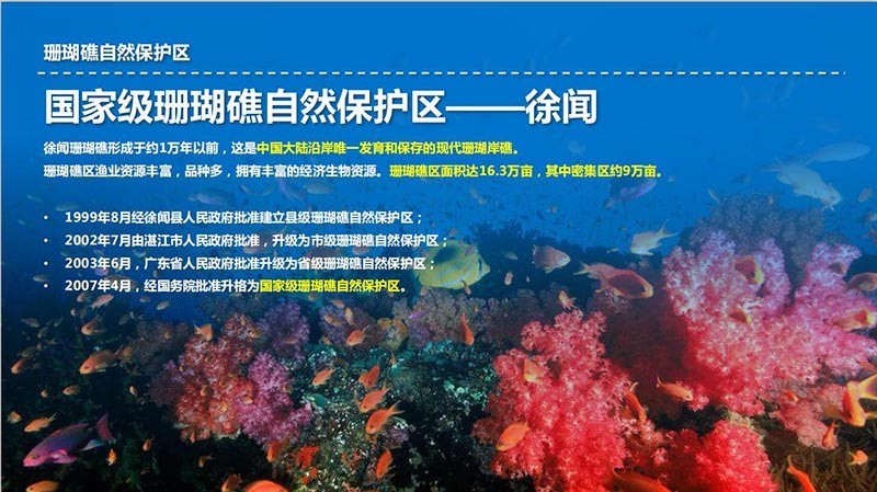 湛江徐闻海安鼎龙天海湾_位置怎么样