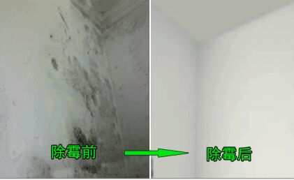 新房九游体育多久可入住_冬季九游体育多久入住_新房九游体育后冬季入住墙壁发霉