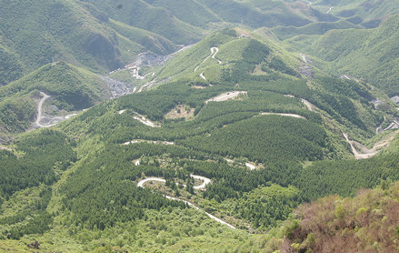 家居风水八方坑_家居八宅风水_家居 植物 风水