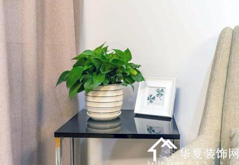 新房屋九游体育后如何去甲醛