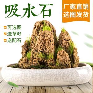 吸水石 上水石 假山水盆景微景观客厅天然奇石装饰原石观赏小石头