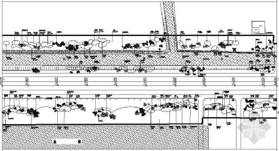 城市道路B标段绿化竣工图