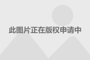 国有土地上房屋征收与补偿条例实施细则_房屋维修补偿协议_房屋拆扦补偿面积标准