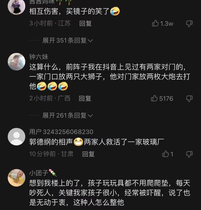 镜子的另1面英语_买22面镜子反击邻居_去年买了个表反击